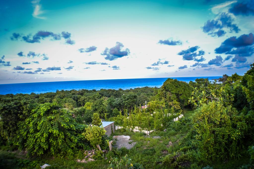 Ackee Tree Sea View Villa Port Antonio Kültér fotó
