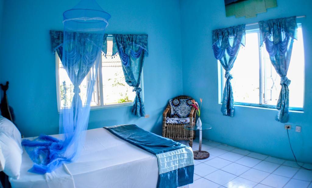 Ackee Tree Sea View Villa Port Antonio Kültér fotó