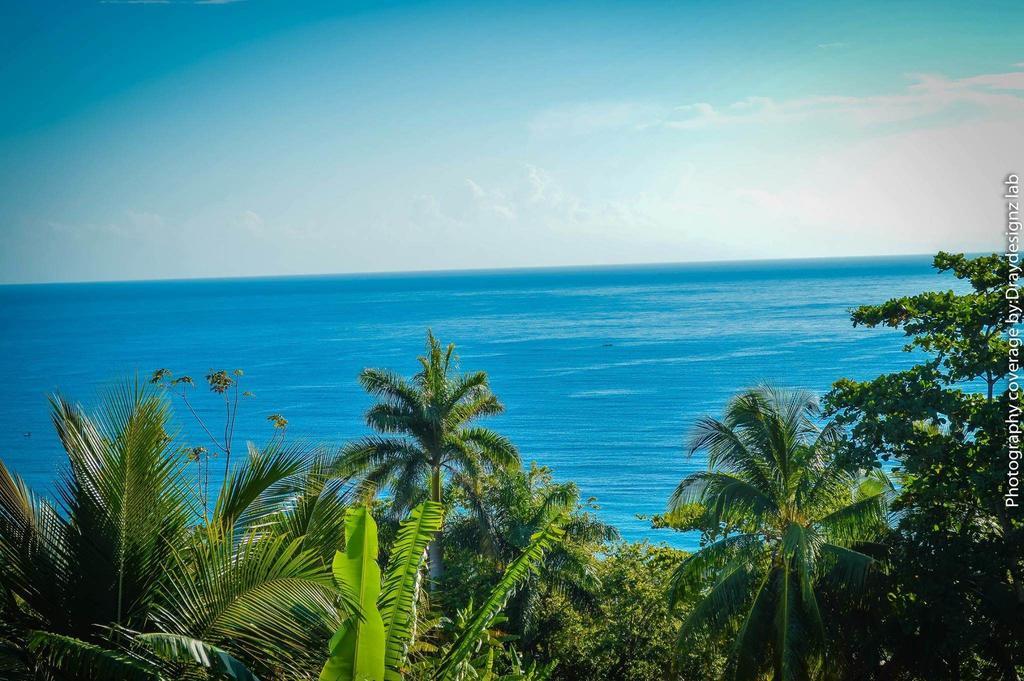 Ackee Tree Sea View Villa Port Antonio Kültér fotó