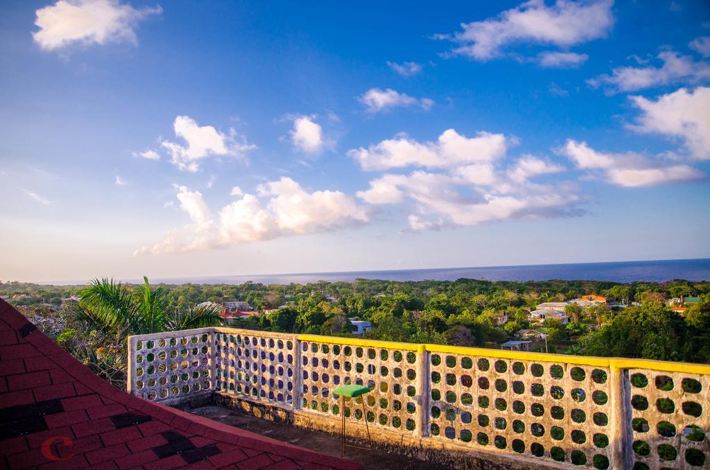 Ackee Tree Sea View Villa Port Antonio Kültér fotó