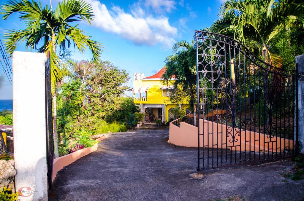 Ackee Tree Sea View Villa Port Antonio Kültér fotó